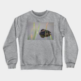 Pie-billed Grebe at Rest by the Reeds Crewneck Sweatshirt